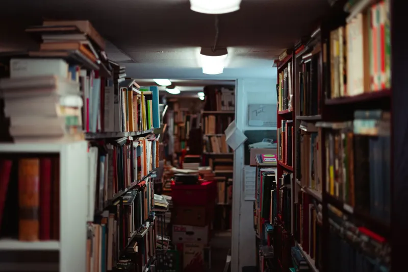 Four Walls and a Mic: The Indie Authors Skipping Publishers and Opening Their Own Rooms